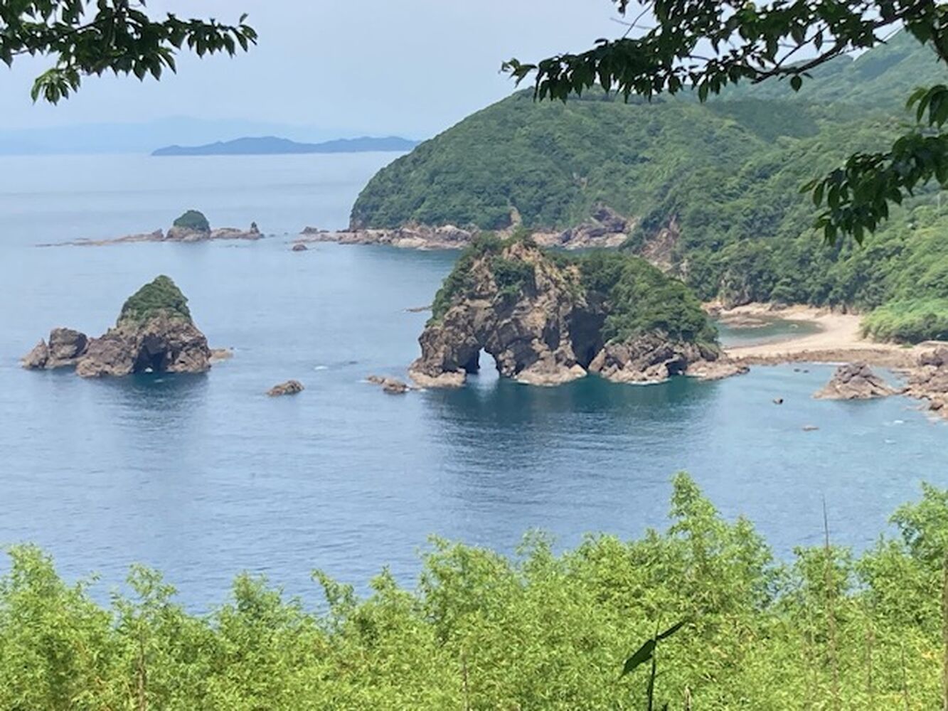 ブログ画像