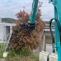 ブログ画像